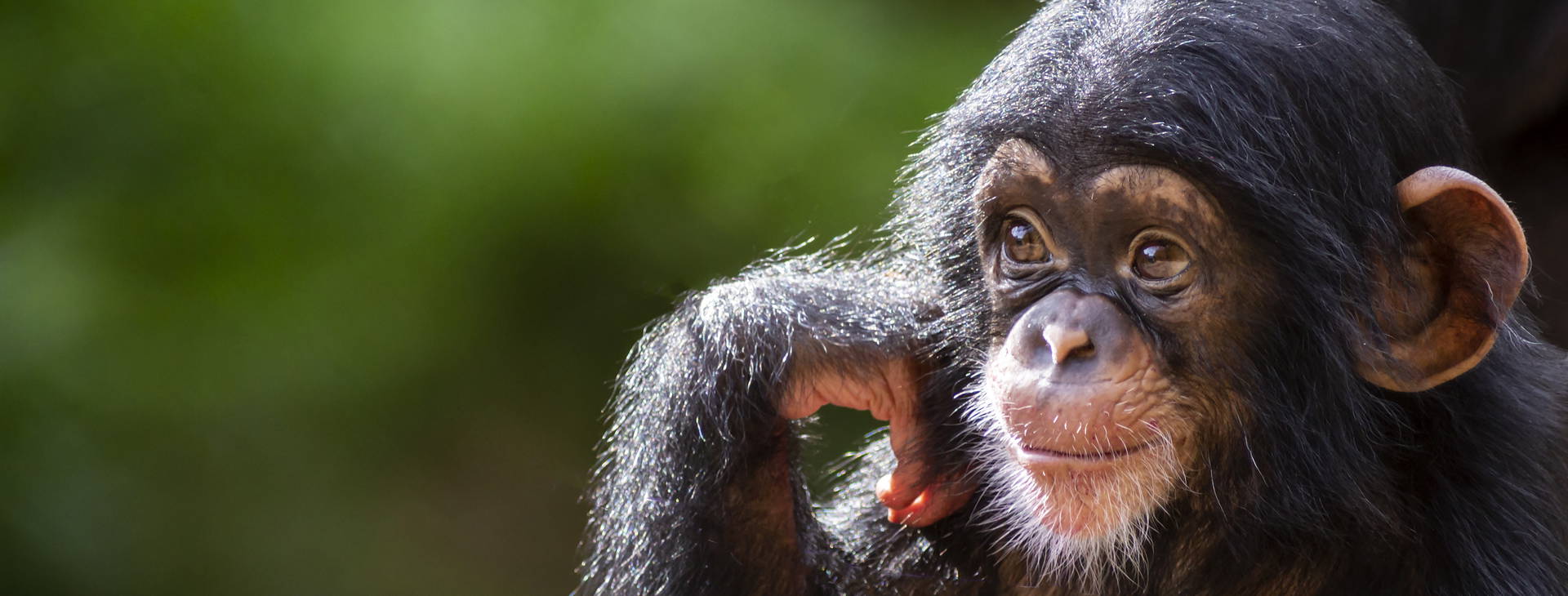 Ubytování GGS Obrázek1