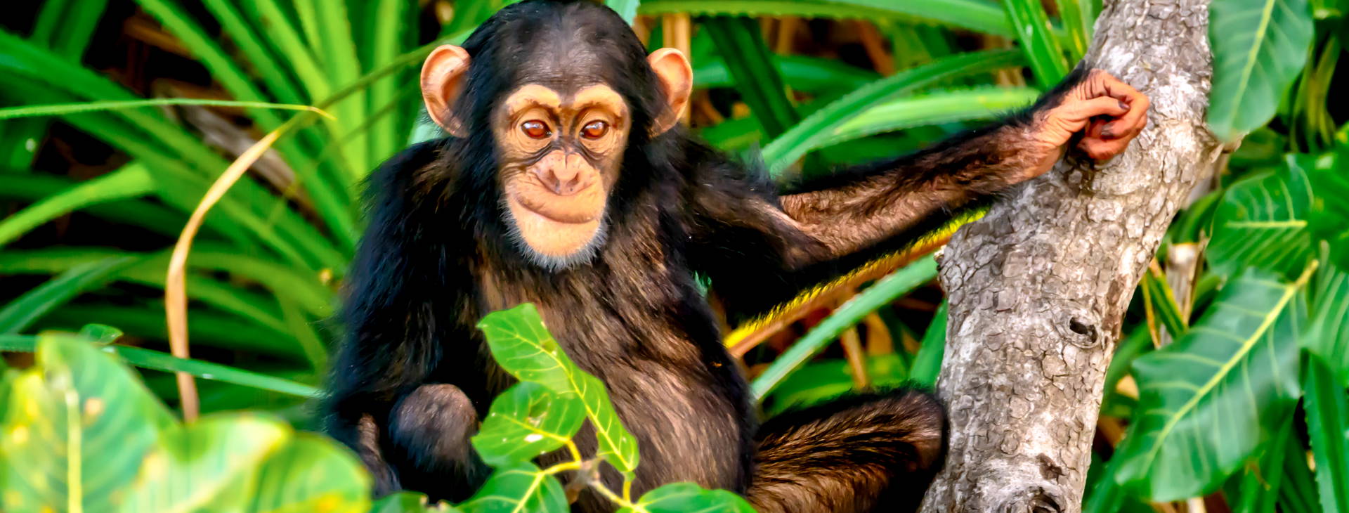 Ubytování GGS Obrázek8