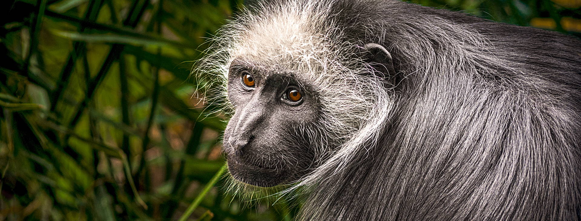 Ubytování GGS Obrázek18