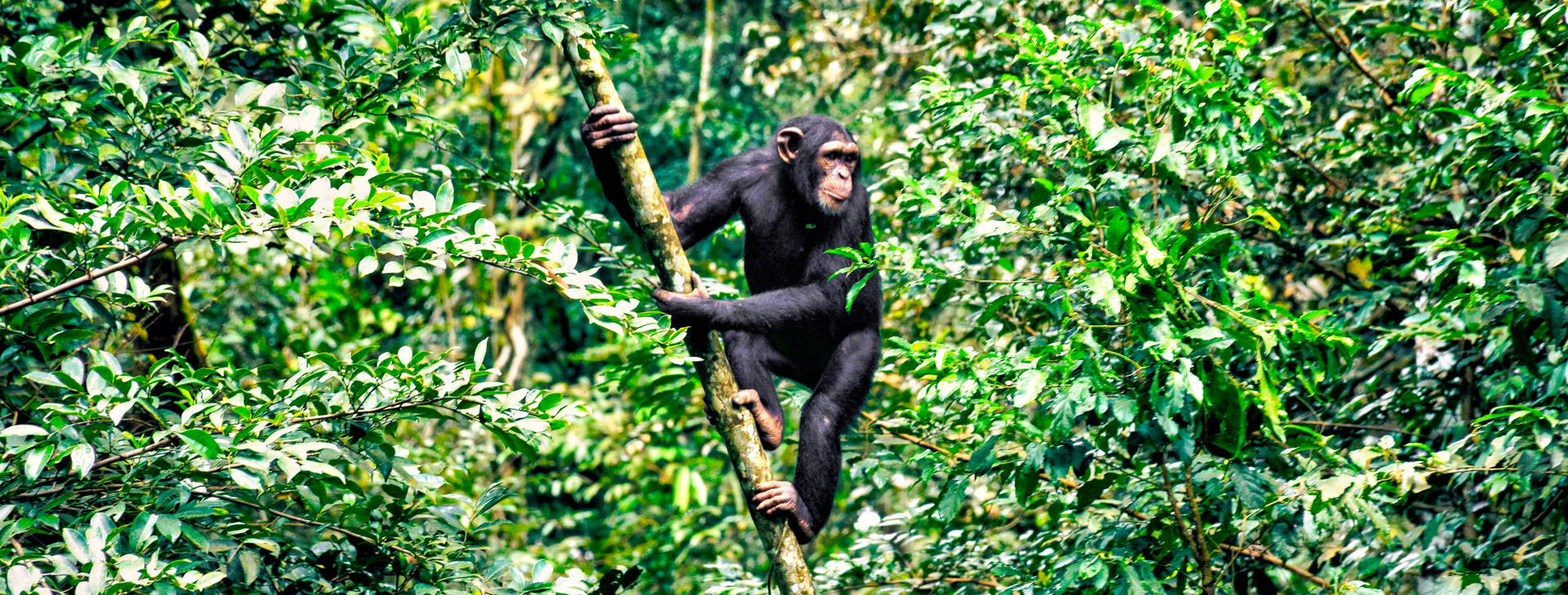 Ubytování GGS Obrázek22