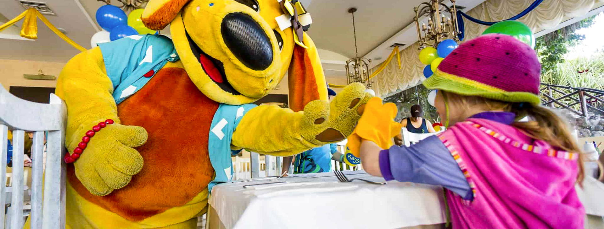 Grand Palladium Vallarta Resort & Spa Obrázek38