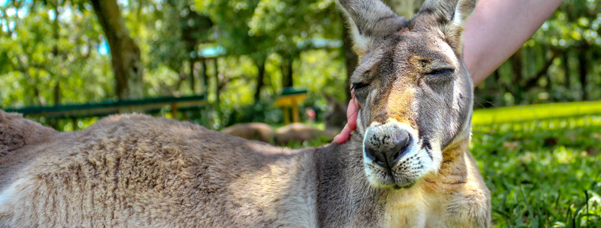 Ubytování AUC Obrázek3