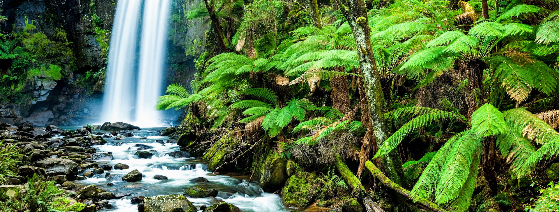 Ubytování AUC Obrázek17