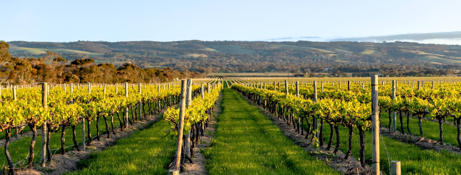 Ubytování AUC Obrázek7