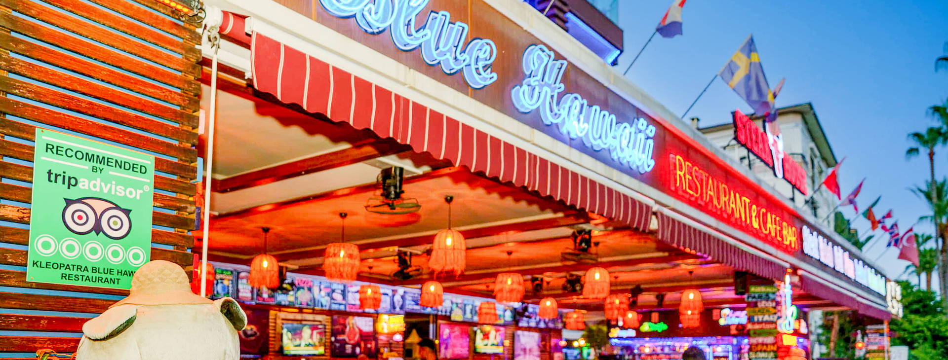 Kleopatra Blue Hawai Obrázek28