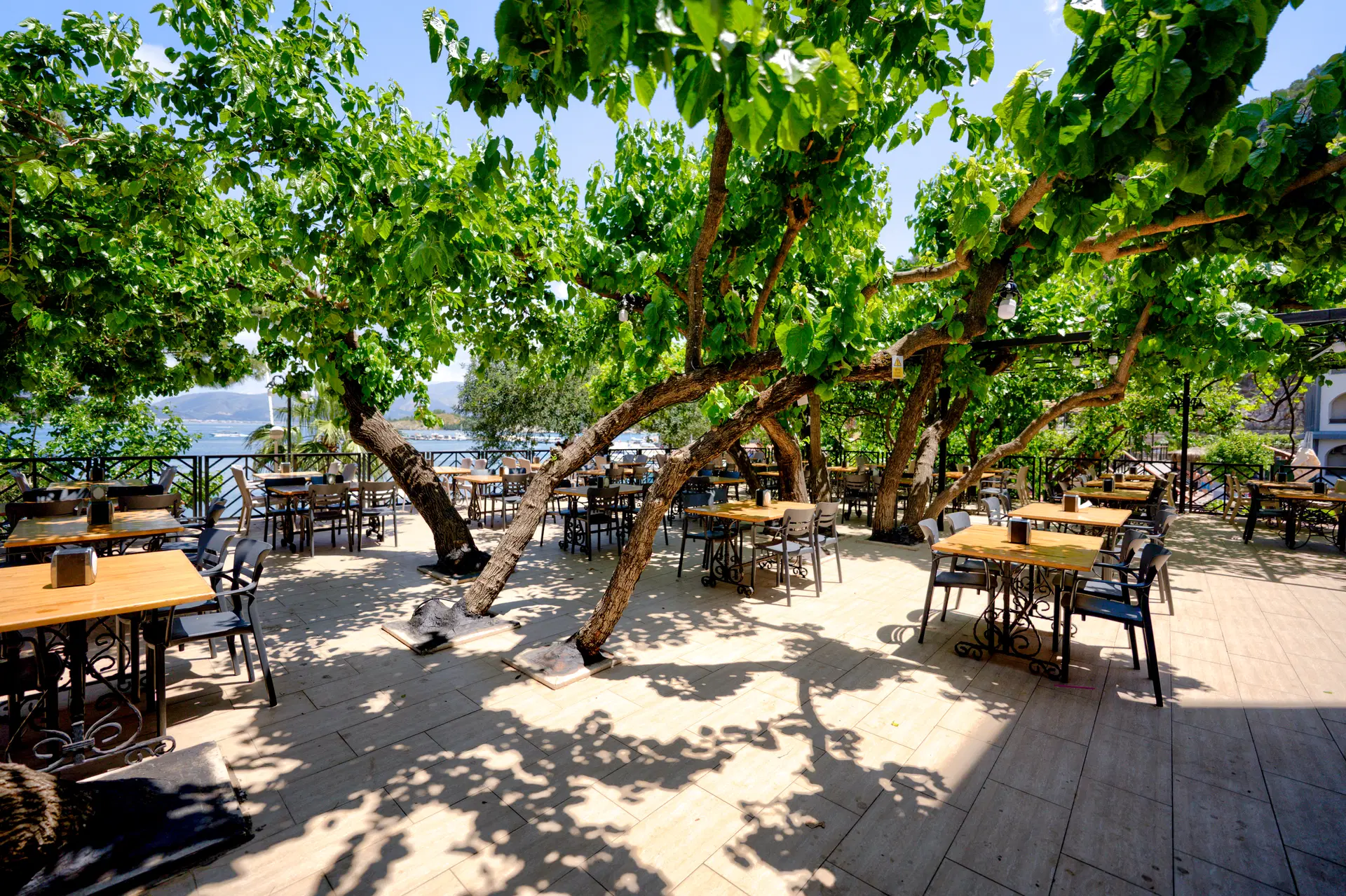 Golmar Beach Hotel Obrázek12