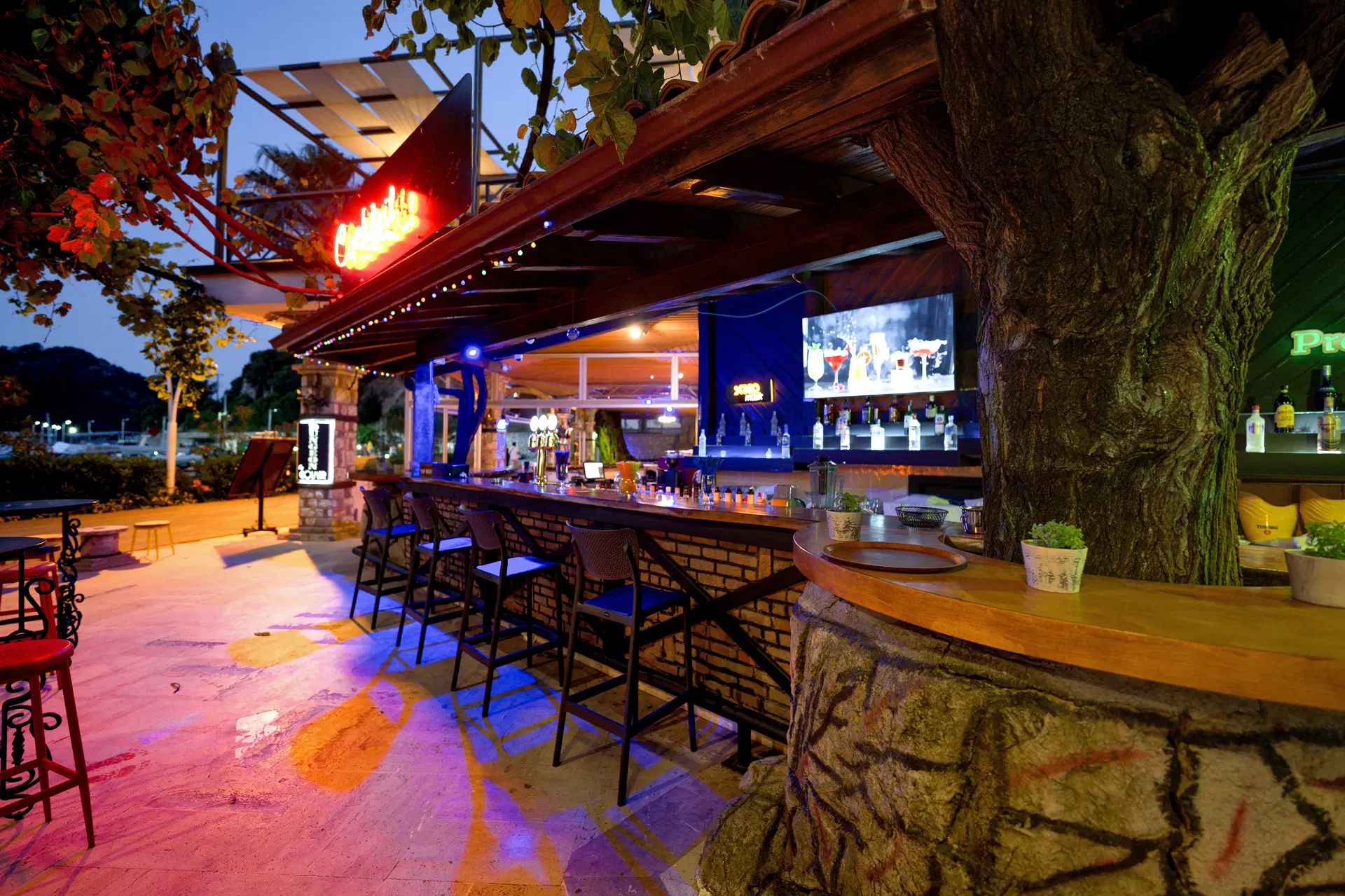 Golmar Beach Hotel Obrázek31