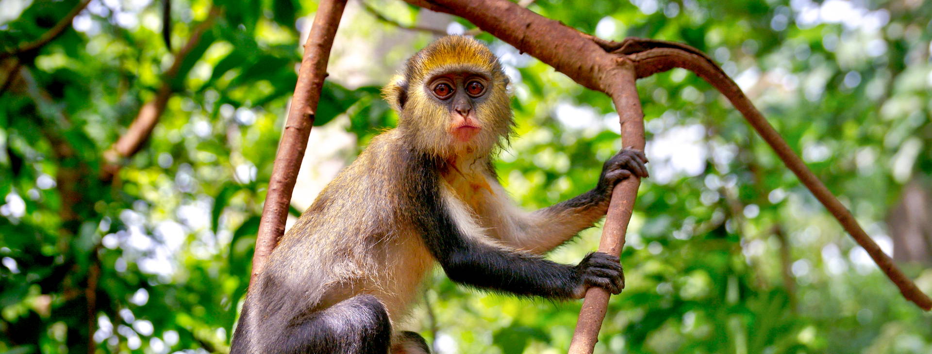 Ubytování GHA Obrázek17