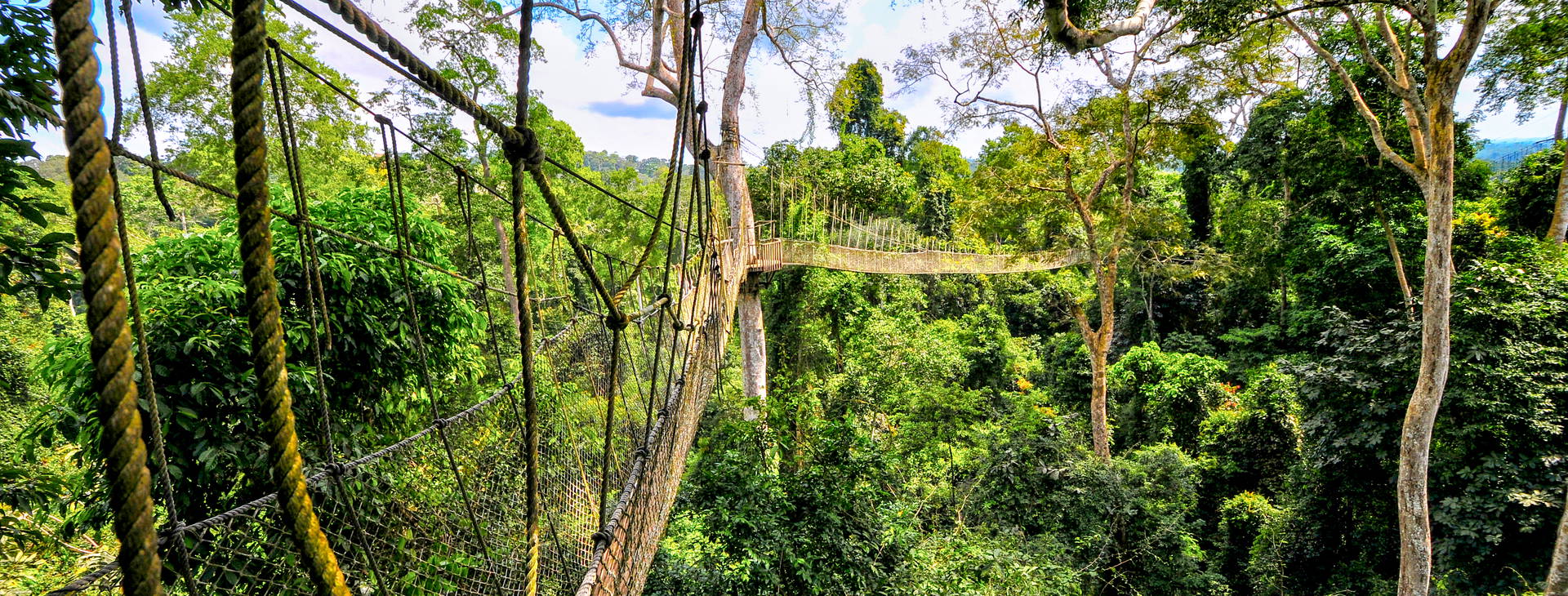 Ubytování GHA Obrázek13