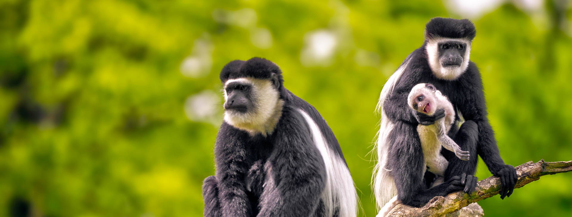 Ubytování GHA Obrázek21