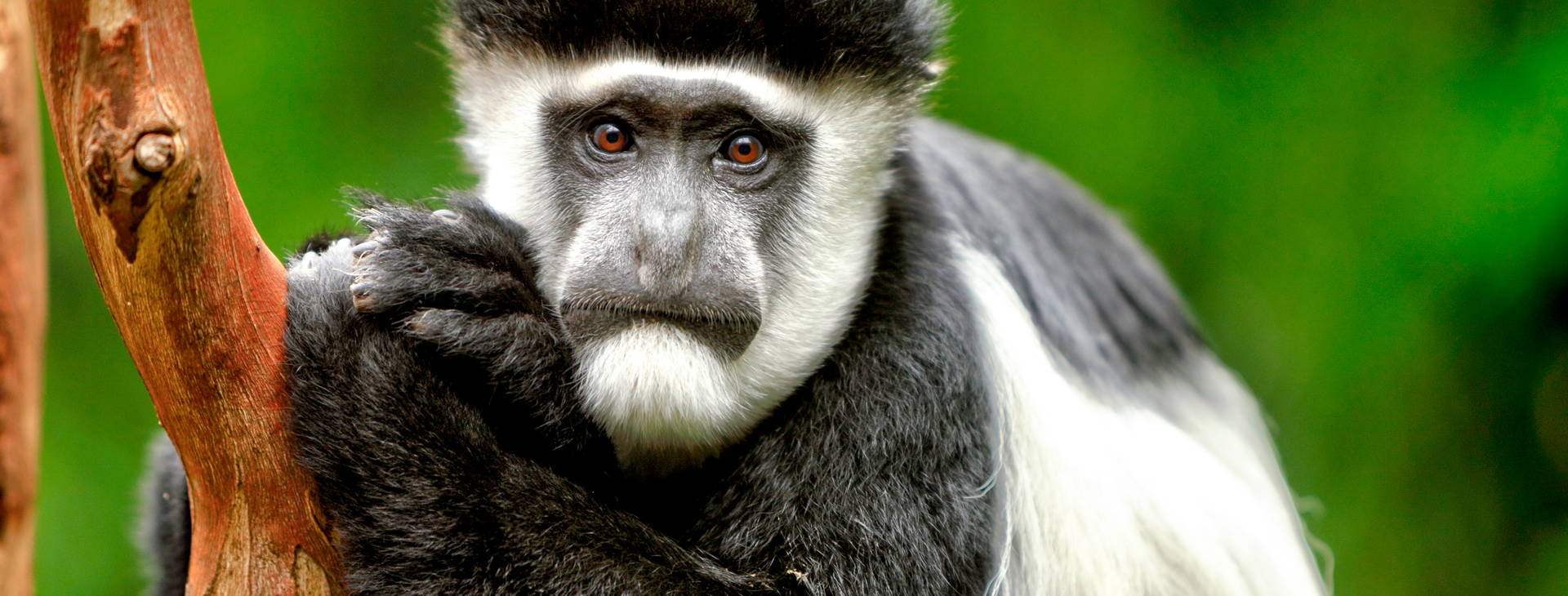 Ubytování GHA Obrázek0