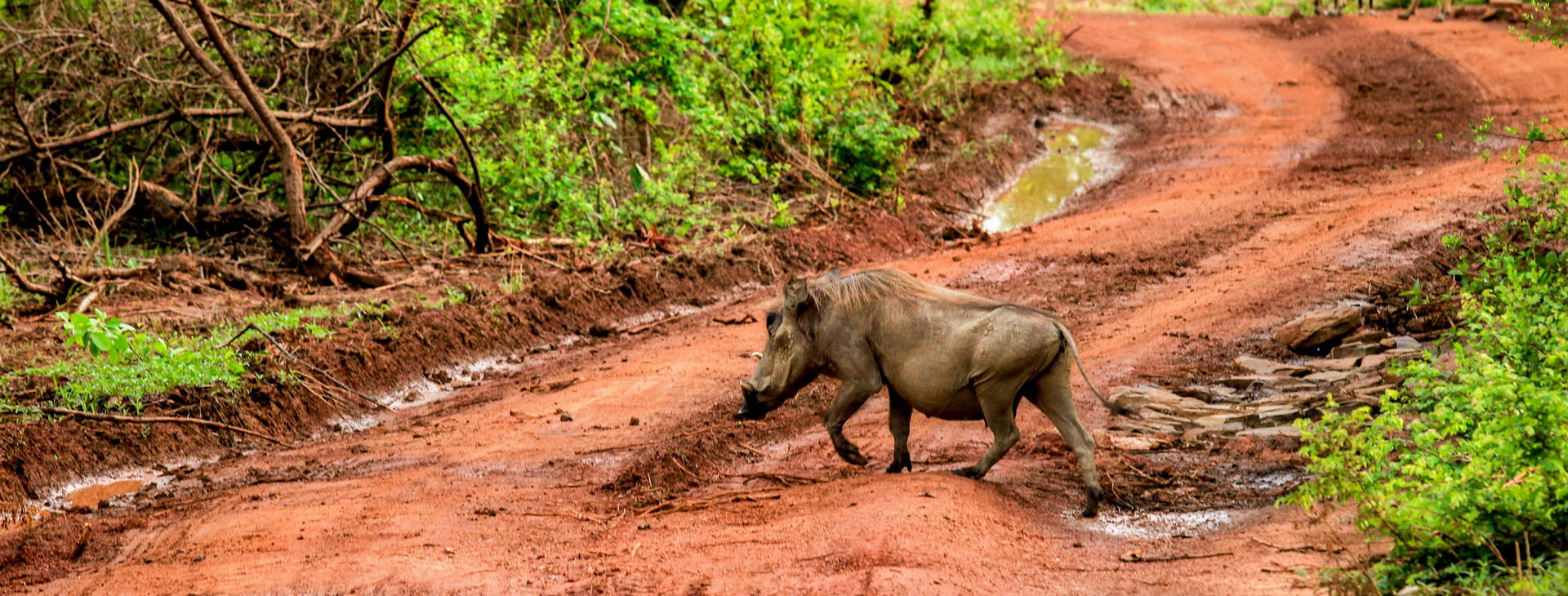 Ubytování GHA Obrázek4