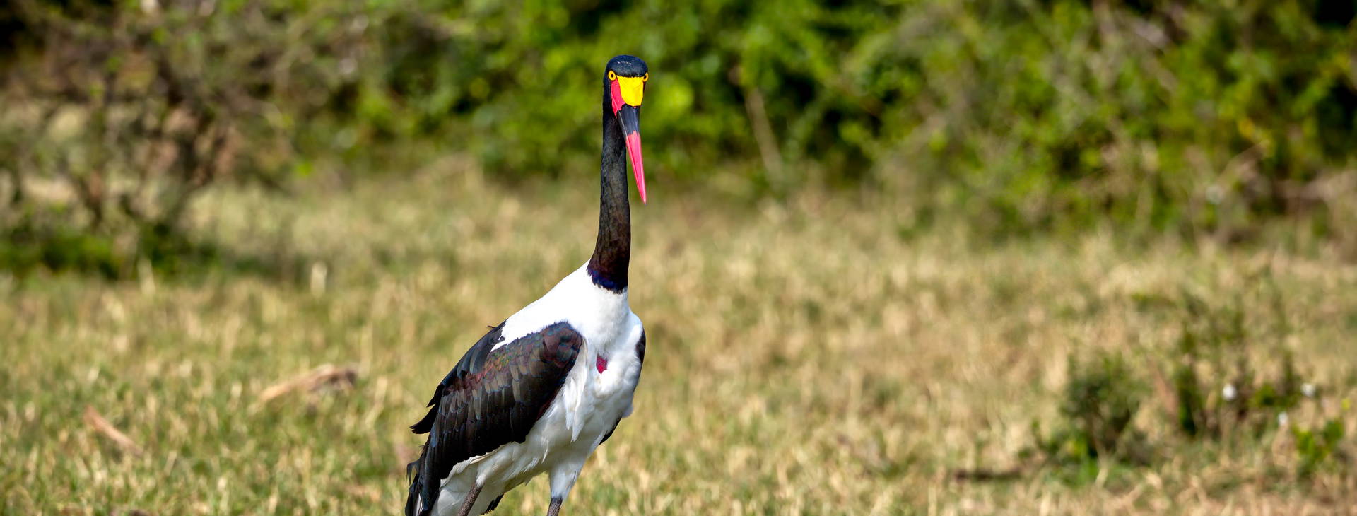 Ubytování GHA Obrázek28