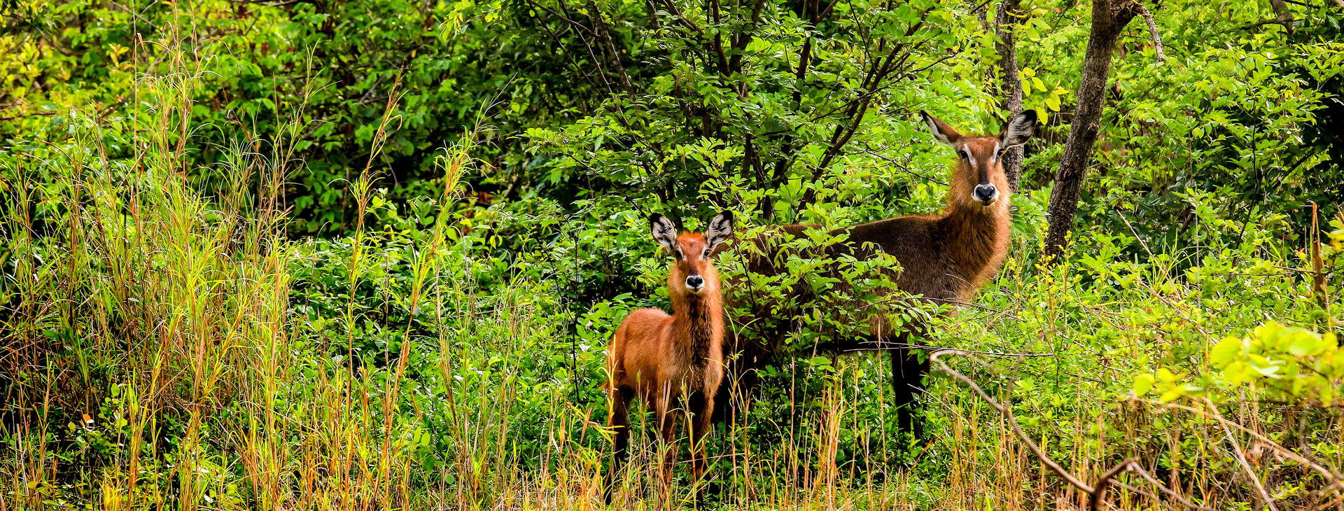 Ubytování GHA Obrázek27