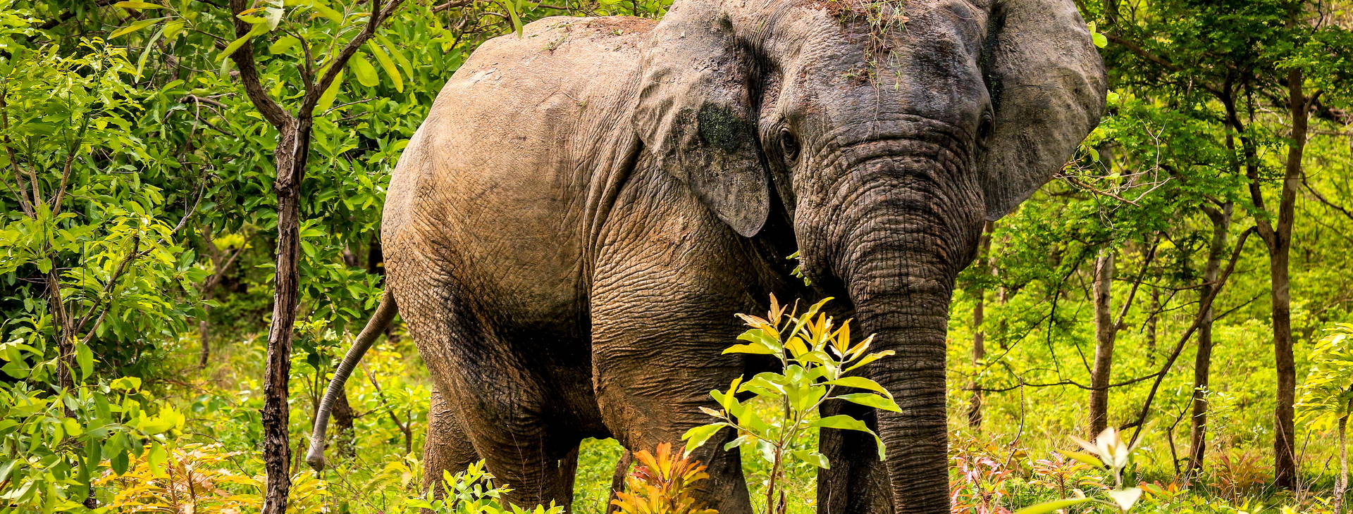 Ubytování GHA Obrázek9