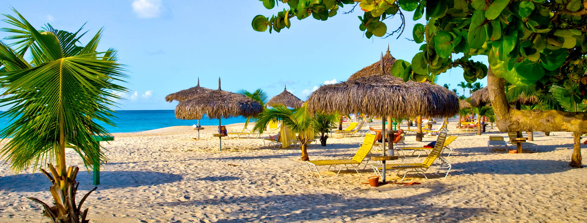 Divi Village Golf & Beach Resort Obrázek27