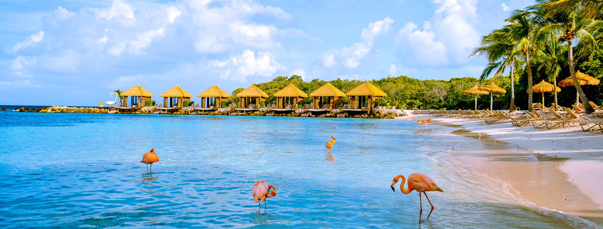 Divi Village Golf & Beach Resort Obrázek29