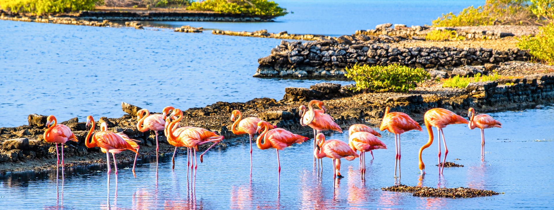 Rancho El Sobrino Resort Obrázek35