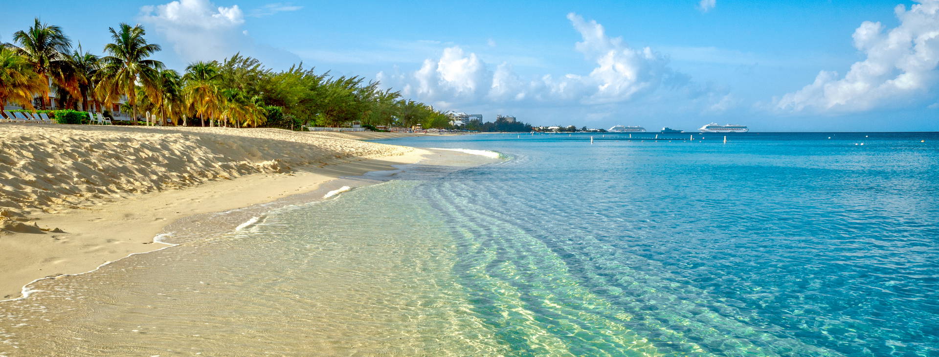 Ubytování RCB (MSC Seashore) Obrázek43