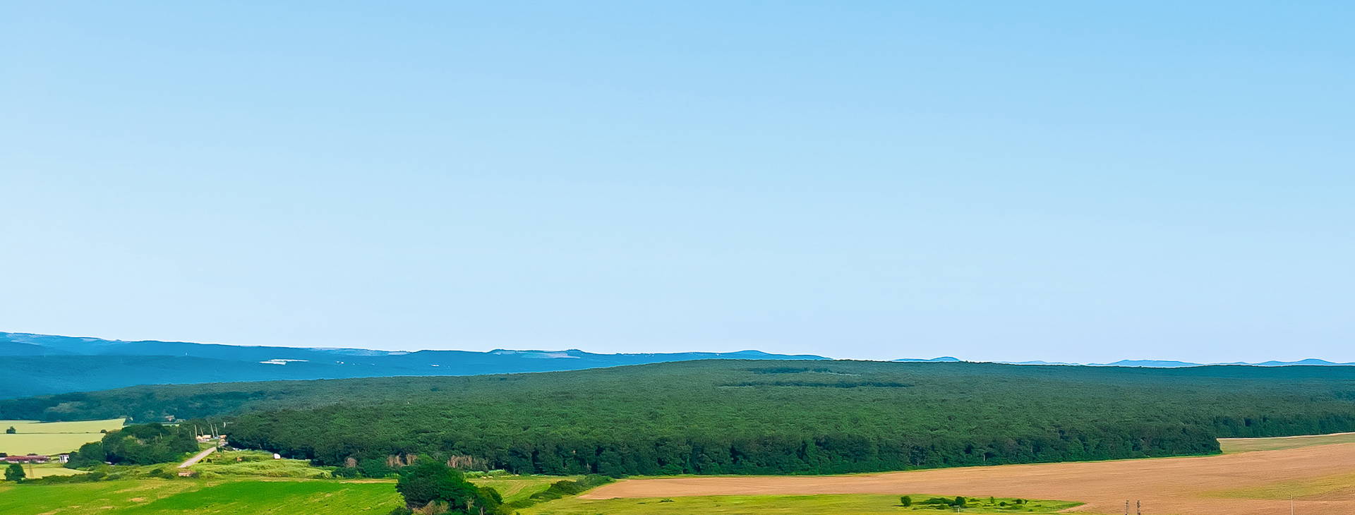 Sunrise All Suites Resort Obrázek8