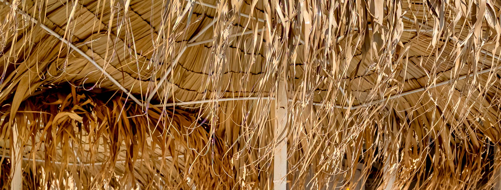 Sunrise All Suites Resort Obrázek37