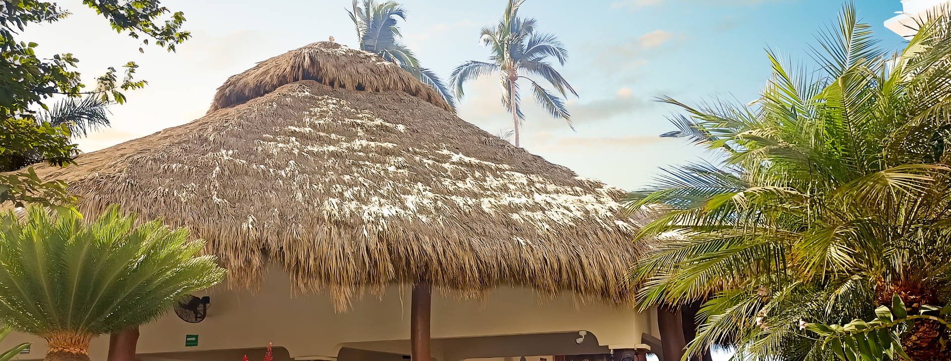 Tropicana Puerto Vallarta Obrázek17