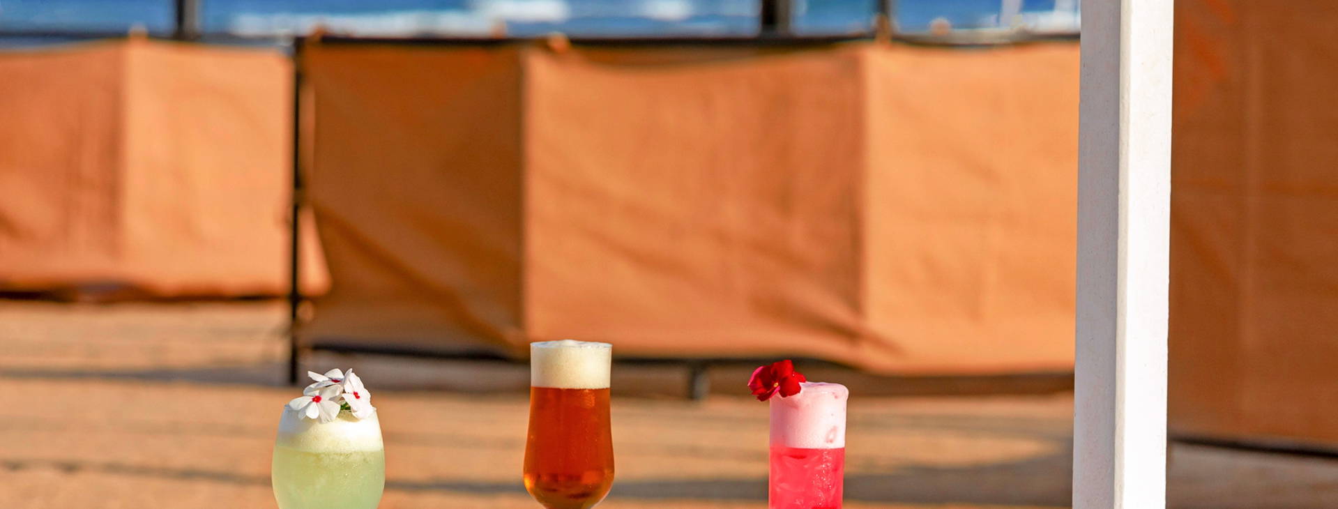 Albatros Oasis Port Ghalib Obrázek28