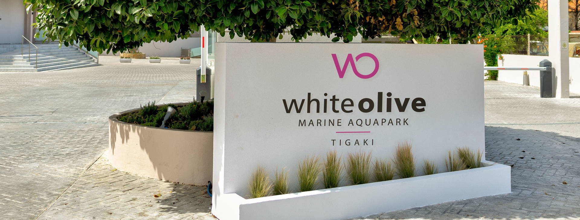 White Olive Marine Aquapark Obrázek2