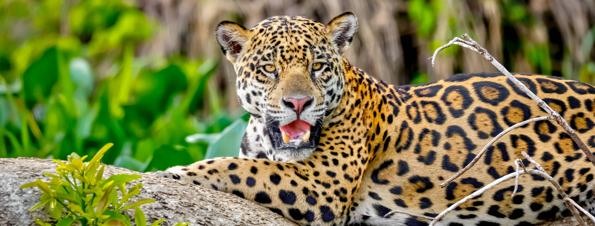 Ubytování KSL Obrázek11