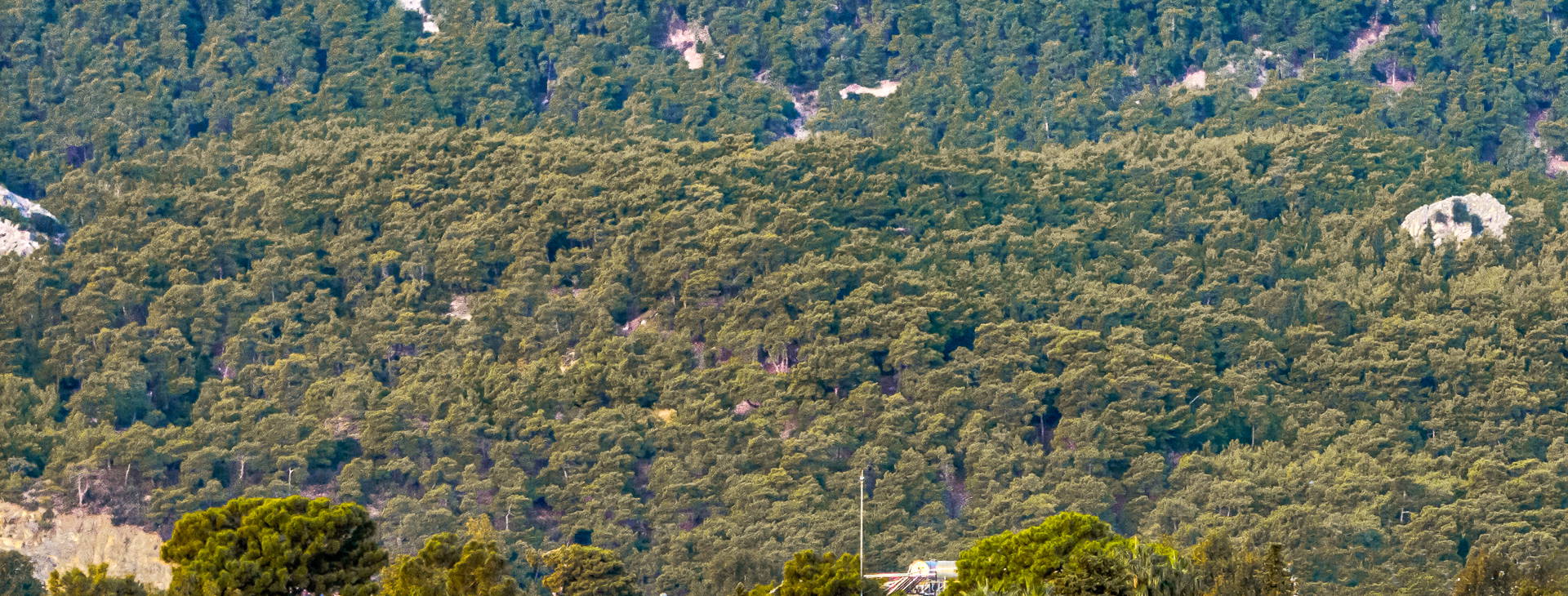 Balmy Beach Resort Obrázek19