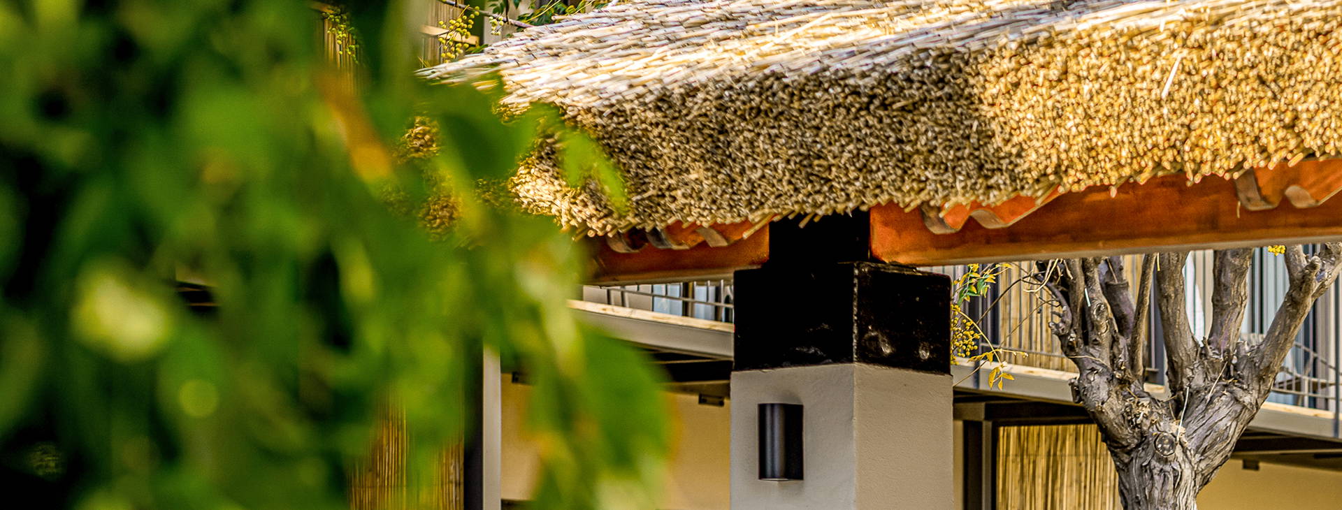 Balmy Beach Resort Obrázek36