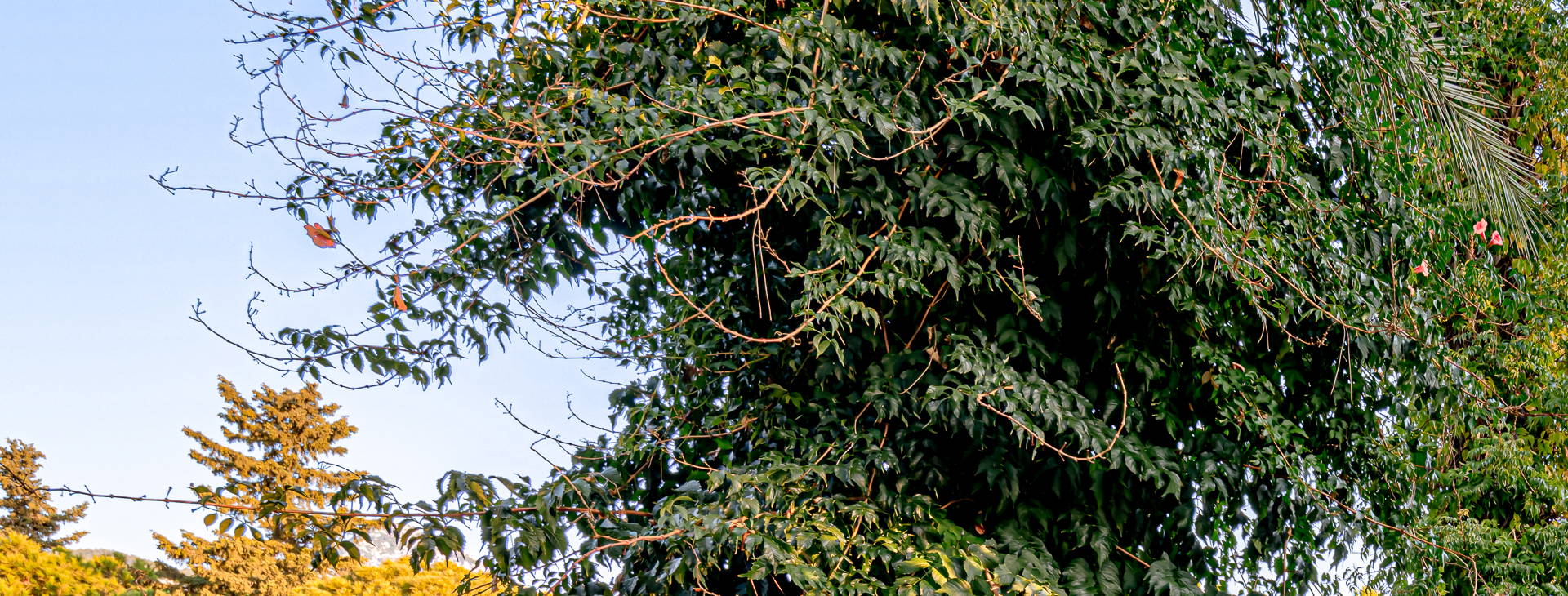 Balmy Beach Resort Obrázek21