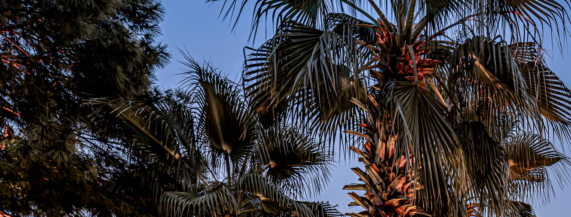 Balmy Beach Resort Obrázek25