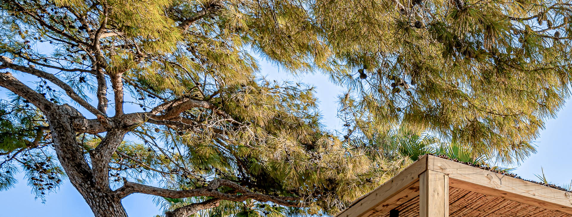 Balmy Beach Resort Obrázek23