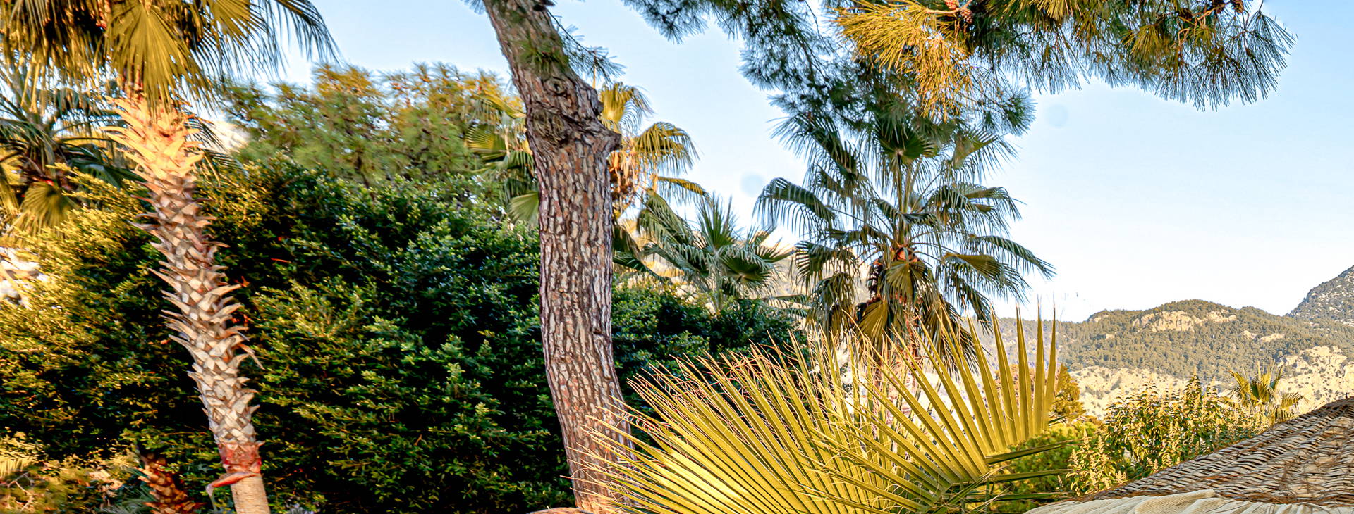 Balmy Beach Resort Obrázek1