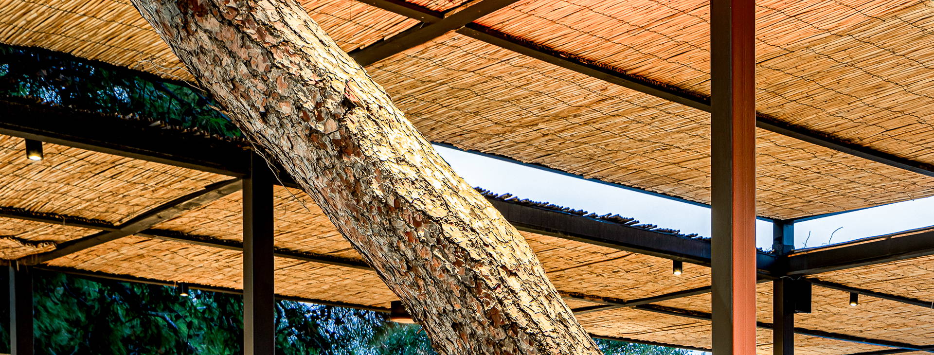 Balmy Beach Resort Obrázek38