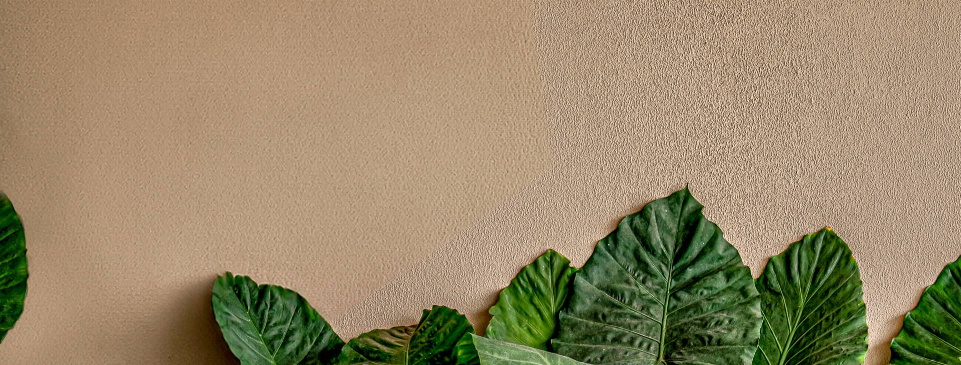 Balmy Beach Resort Obrázek39