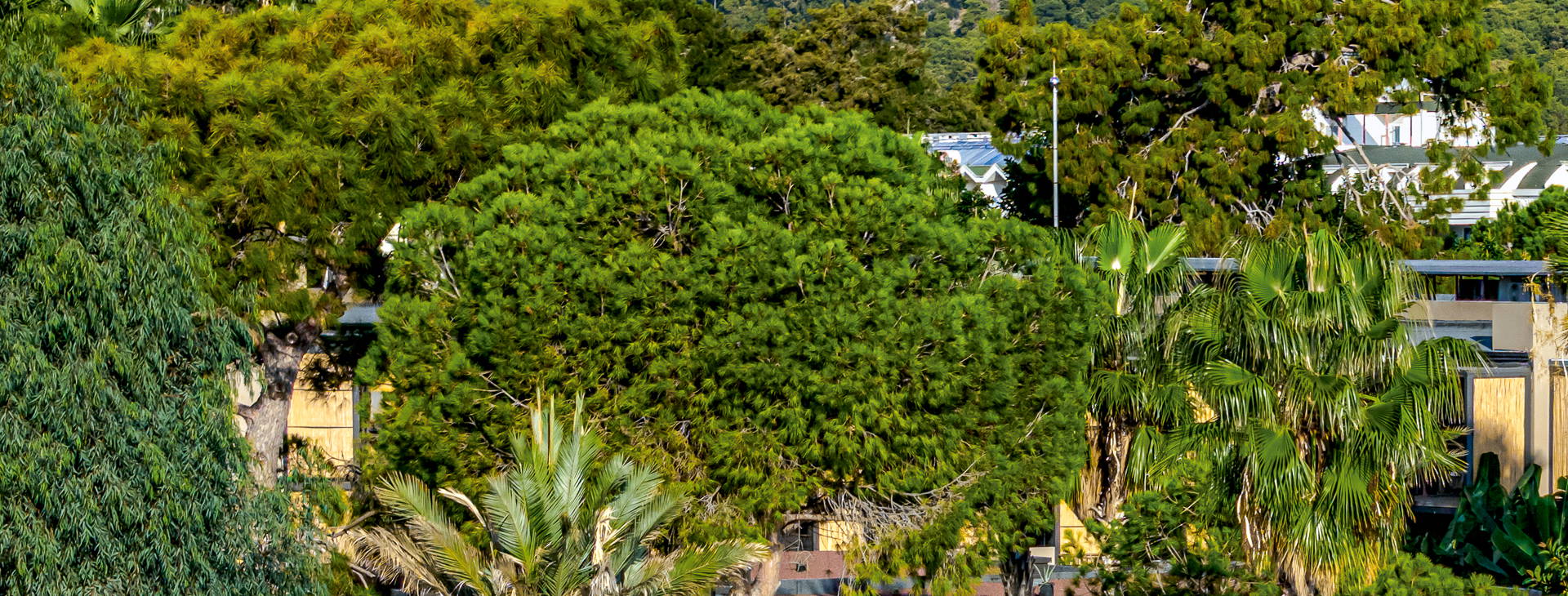 Balmy Beach Resort Obrázek18