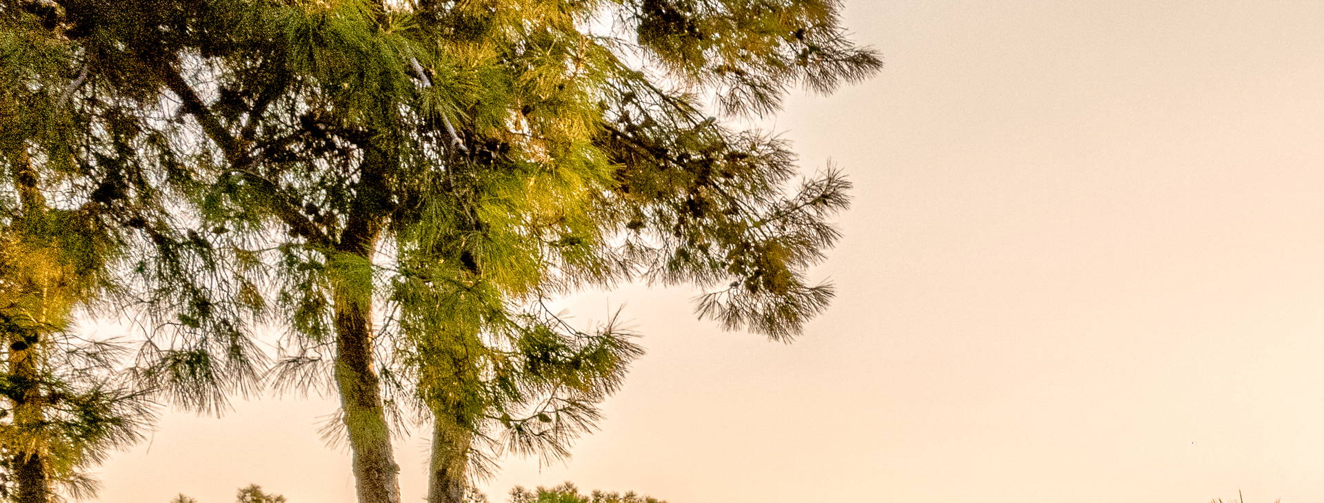 Balmy Beach Resort Obrázek6