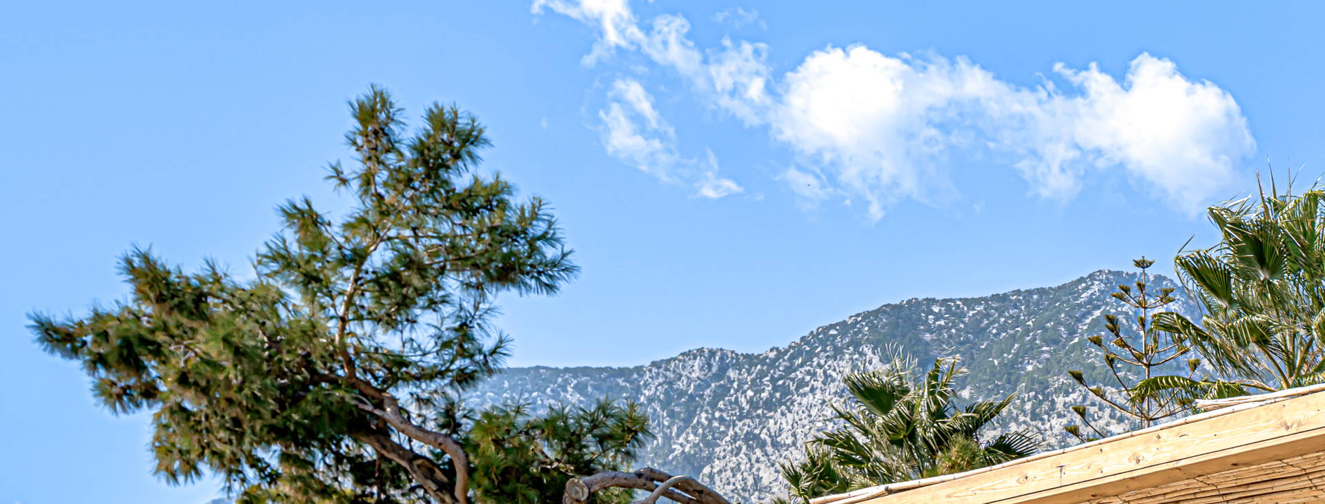 Balmy Beach Resort Obrázek24