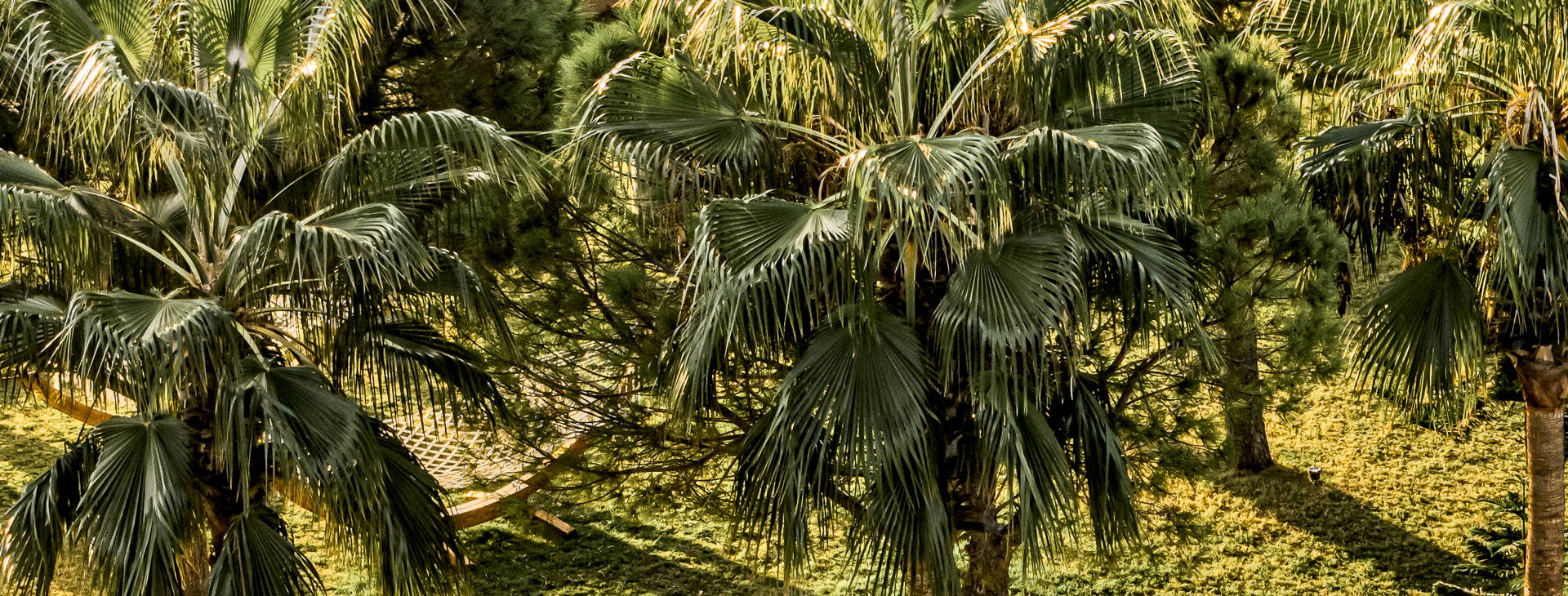 Balmy Beach Resort Obrázek4