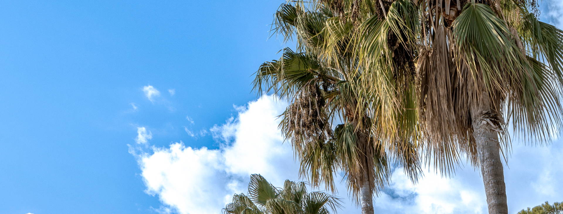 Balmy Beach Resort Obrázek2