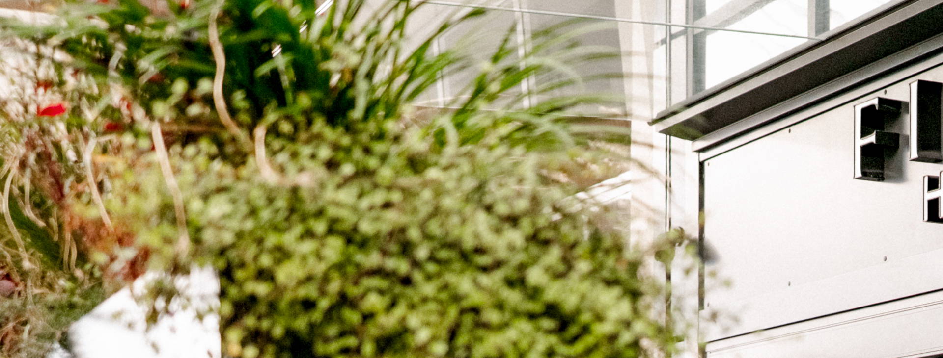 Fitch Hotel Obrázek10