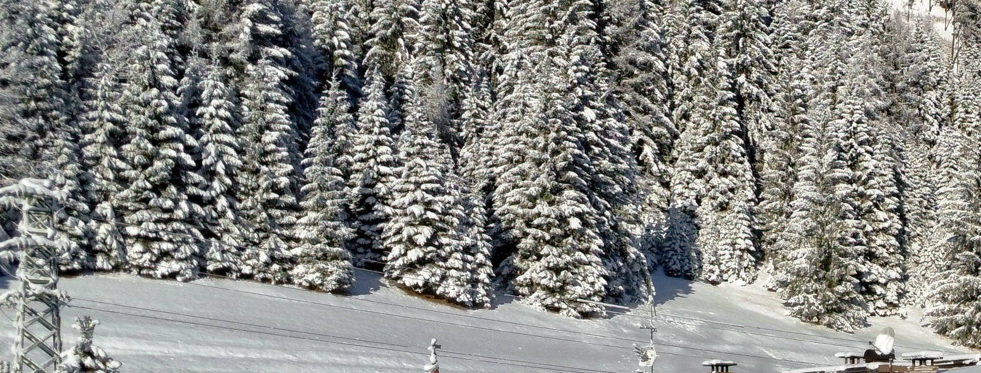 Des Alpes Obrázek1