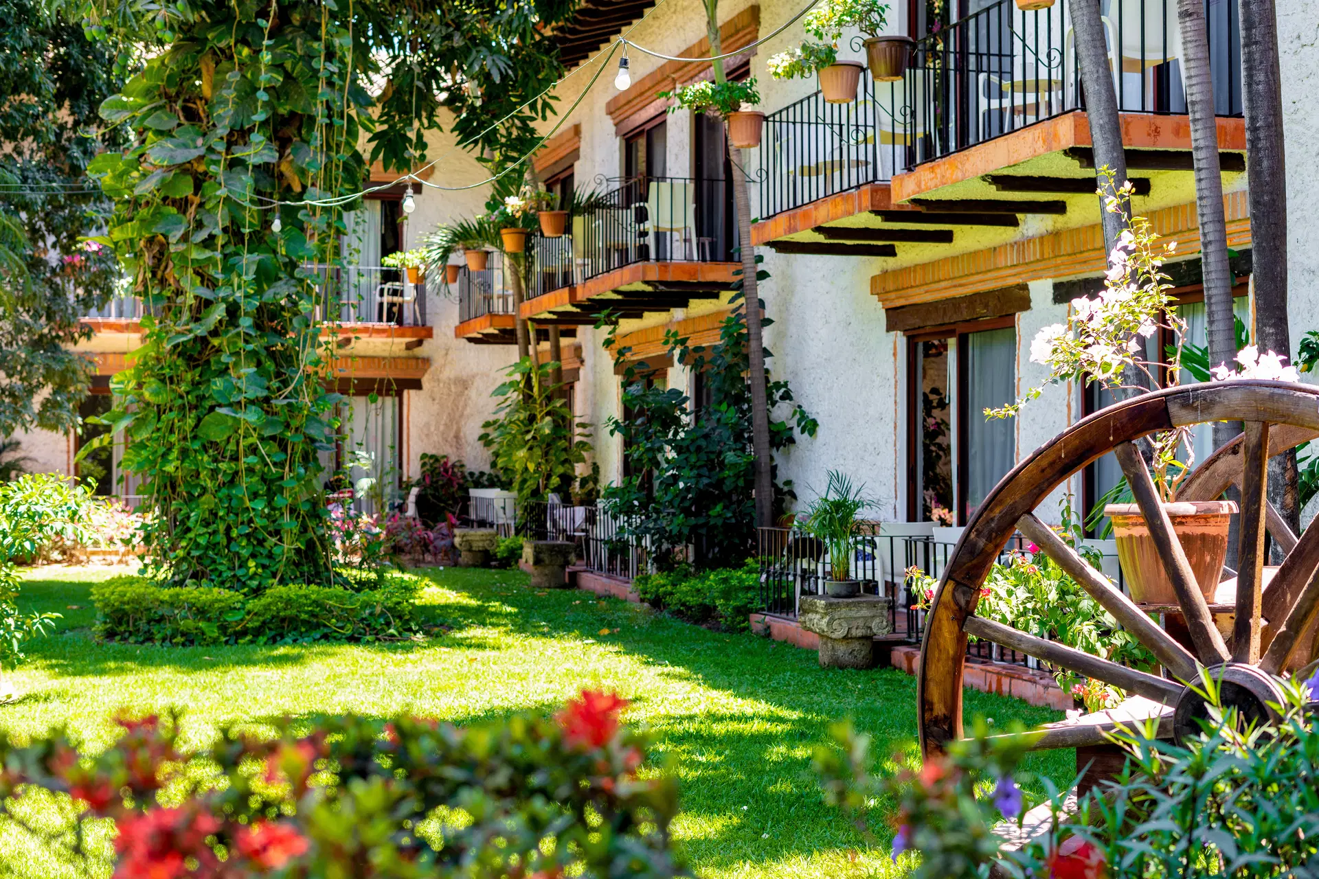 Hacienda Buenaventura Hotel Spa & Beach Club Obrázek17