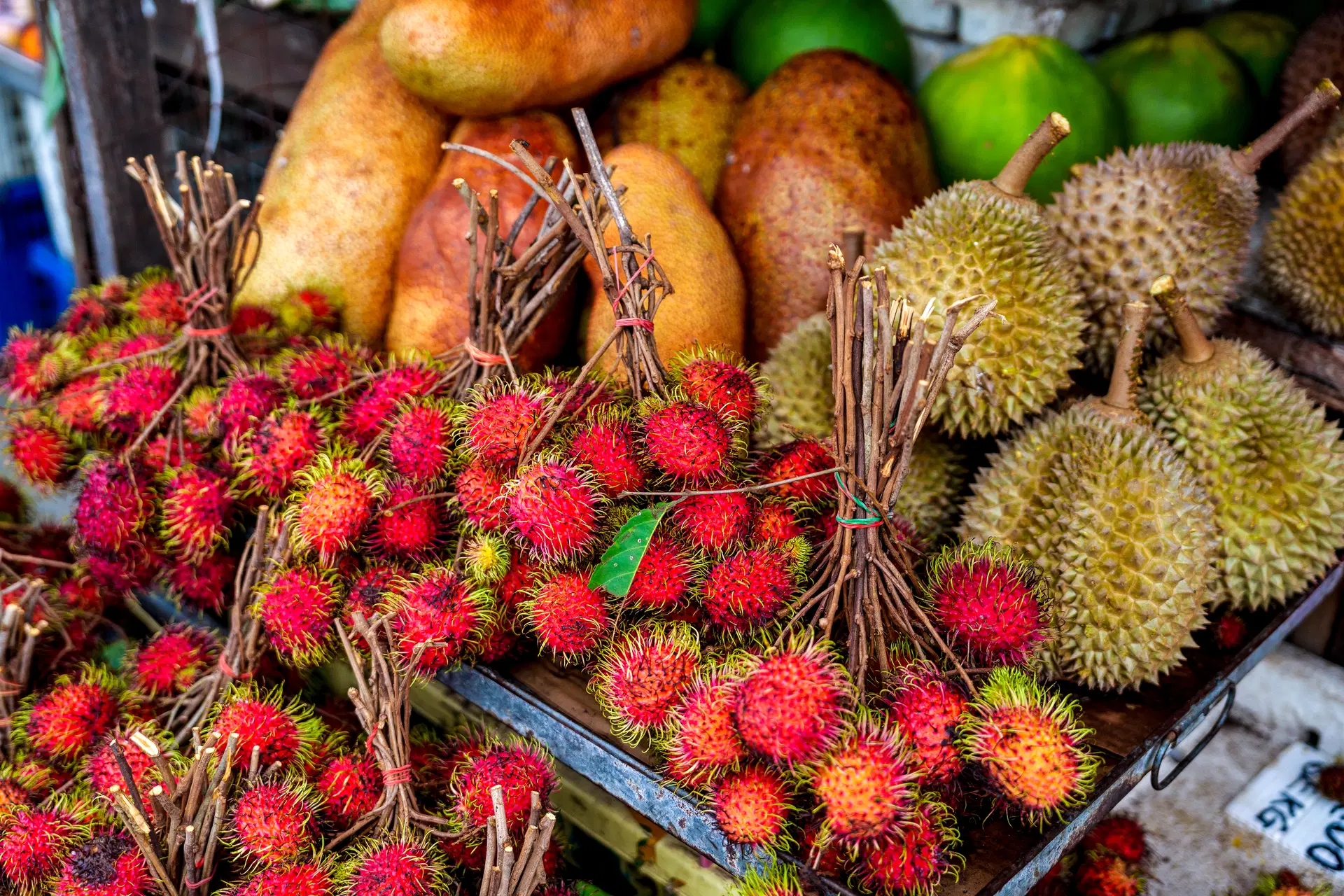 Ubytování SAQ Obrázek5