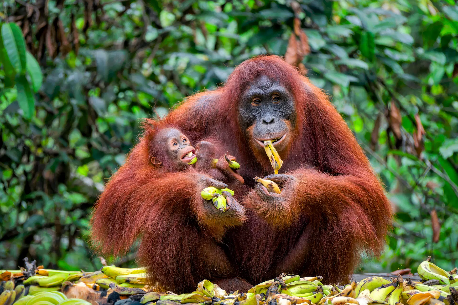 Ubytování SAQ Obrázek10