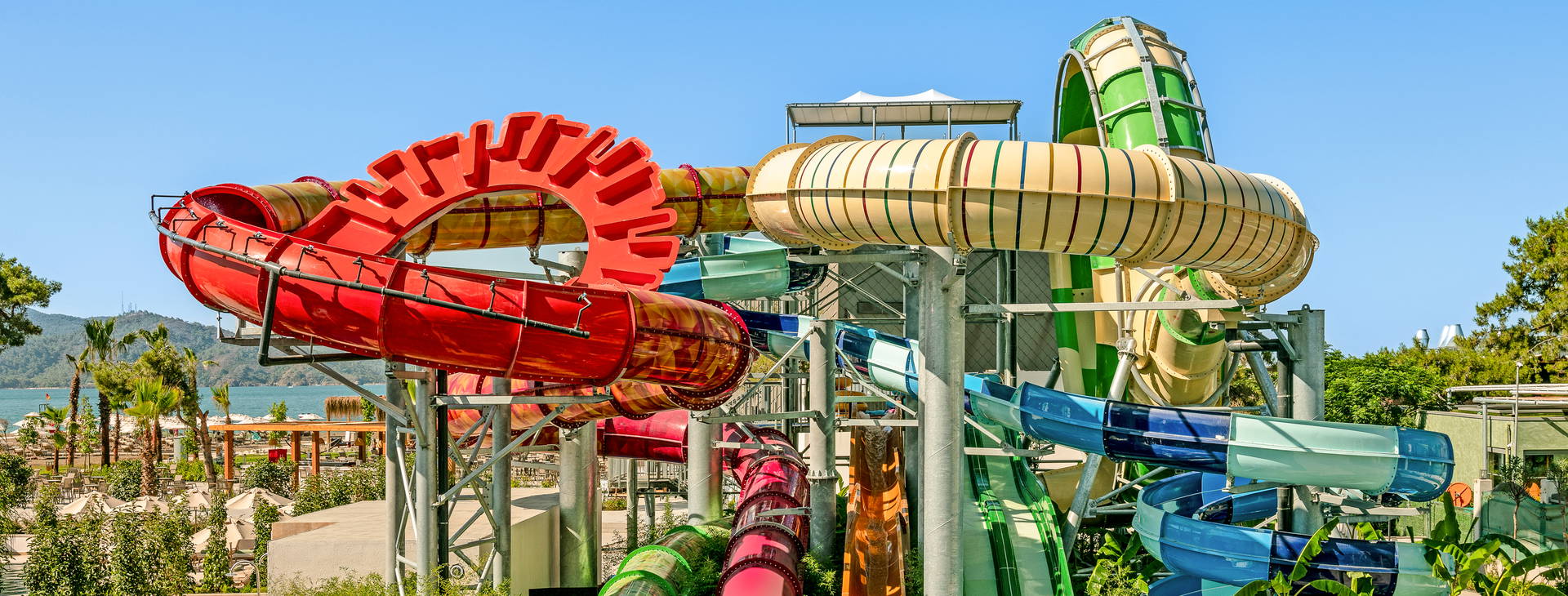 Liberty Signa Obrázek54