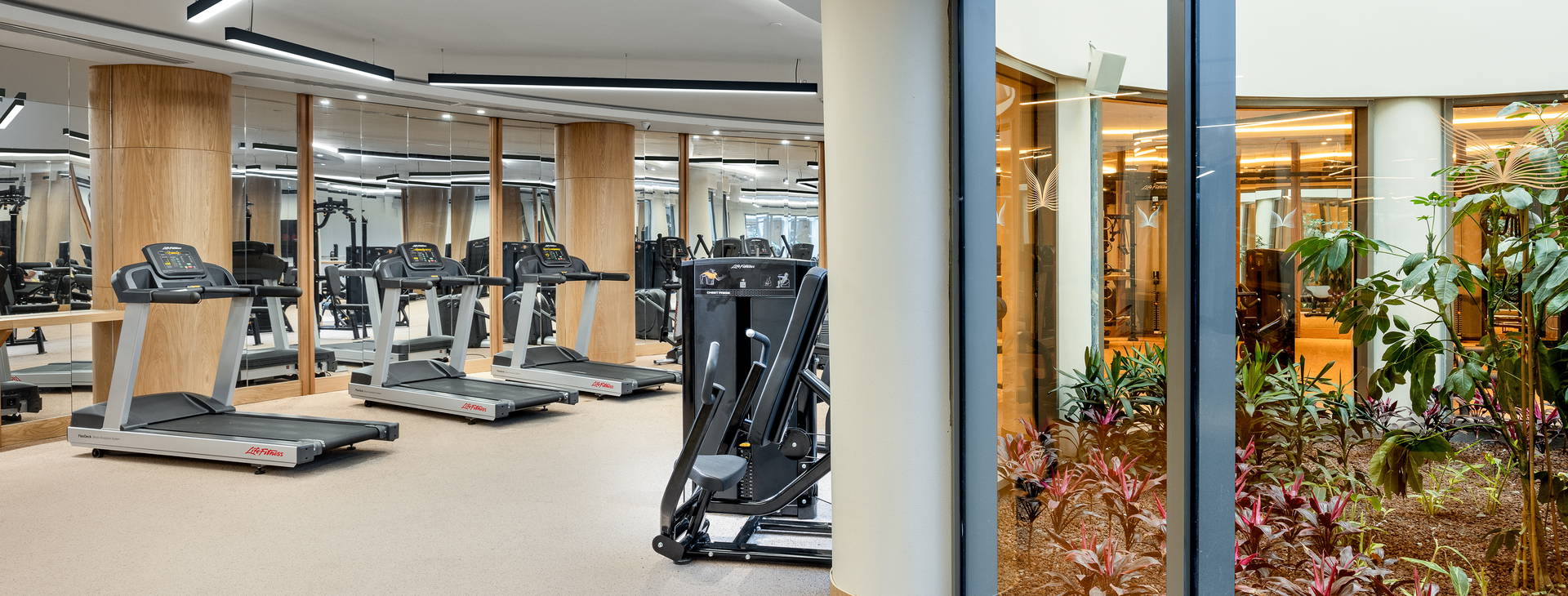 Liberty Signa Obrázek55