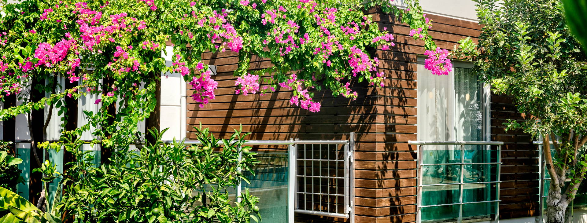 Green Garden Resort Obrázek33